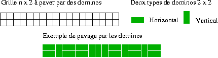 pavage par des dominos