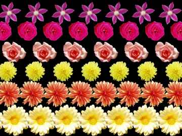 Autost�r�ogramme flottant - fleurs